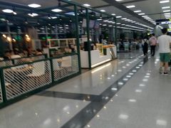 -长沙黄花国际机场-T1航站楼