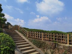 -中国茶叶博物馆(双峰馆区)