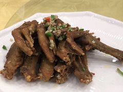 -长洲岛