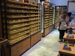 -木九十眼镜(朝阳大悦城B1店)