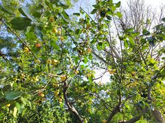 -天津盘山风景名胜区