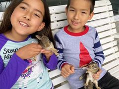 -常州奔牛国际机场