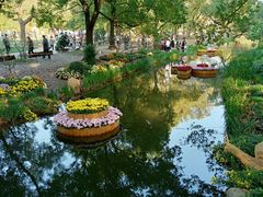 -上海共青森林公园