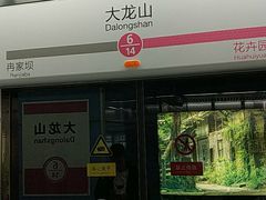 -大龙山(地铁站)