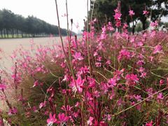 -汉长安城未央宫国家考古遗址公园