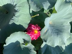 -苏州河梦清园环保主题公园