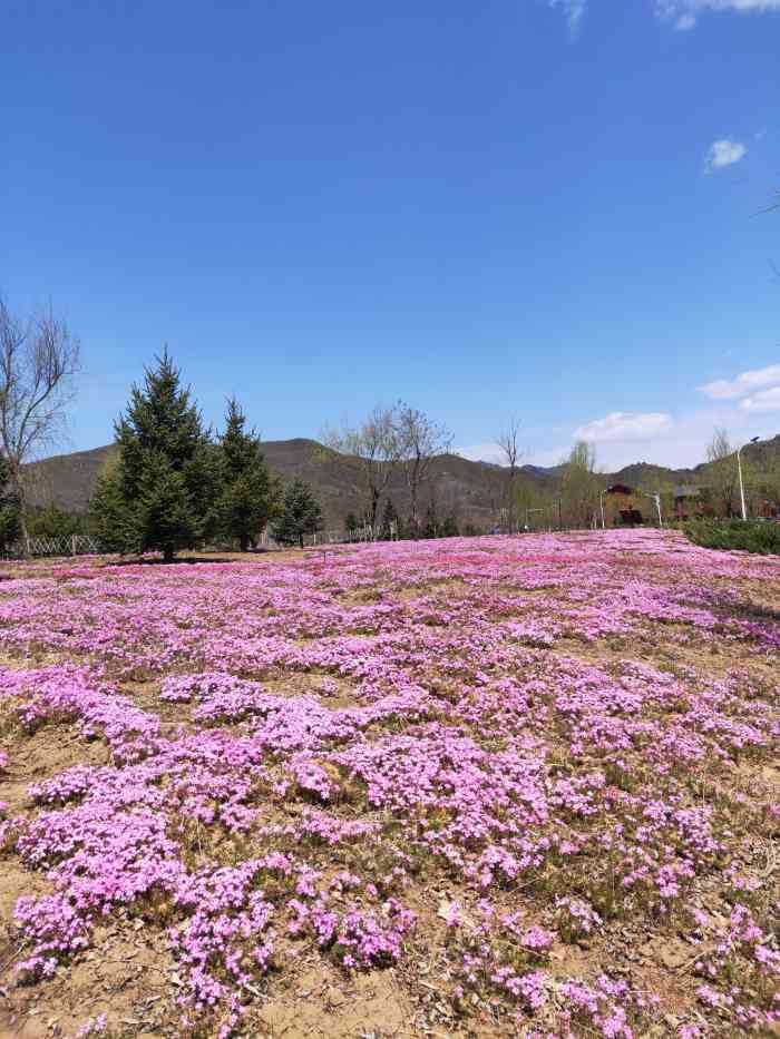 珍珠泉留香谷-"比较小众的打卡地,没有门票,更像是一个小.