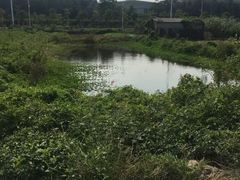 环境-蔡社牛肉城(龙湖店)