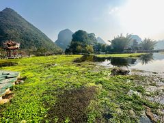 -靖西鹅泉风景区