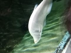 -临沂极地海洋王国