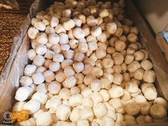 芝麻糖瓜-庆祥斋糕点厂(留学路店)