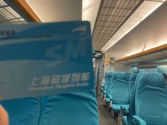 -龙阳路磁悬浮列车总站-停车场