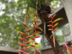 -徐家汇源景区-衡山公园