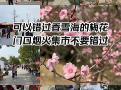 -香雪海