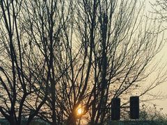 -长白岛森林公园