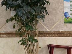 -兰州老马食府(小潞邑店)