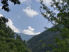 -牛背梁国家森林公园