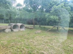 -上海野生动物园