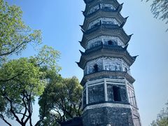 -苏州上方山国家森林公园