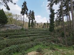-黄陂区野村谷景区