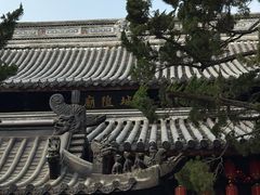 -秋霞圃