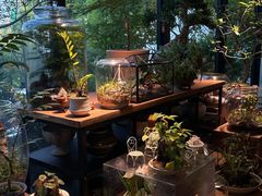 -自由生长植物工作室(深港花卉中心店)