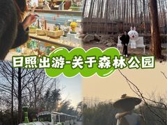 -日照海滨国家森林公园