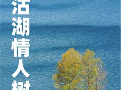 -丽江泸沽湖景区