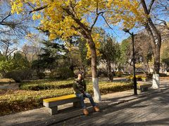 -山东大学(趵突泉校区)