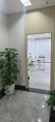 -碧莲盛·不剃发植发