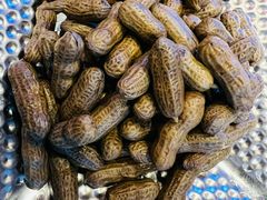 -杨记齐齐哈尔烤肉(总店)