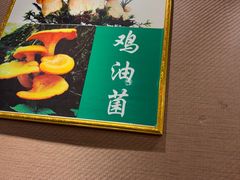 -菌之家·专业纯野生菌火锅·特色炒菌