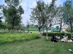 -府河摄影公园