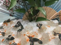 -悦海堂(金融街购物中心店)