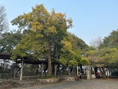 -岳麓山风景名胜区