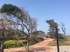 -漳州滨海火山岛自然生态风景区