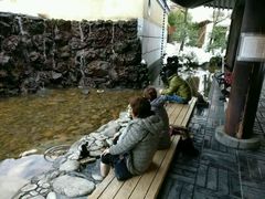 -城崎温泉 外七汤