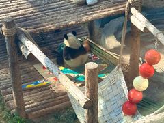 -大连森林动物园