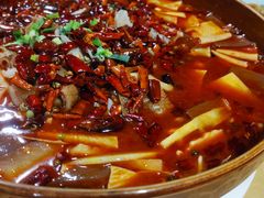 毛血旺-春水锅贴·传统鲁菜(大明湖店)