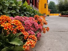 -挂甲禅寺