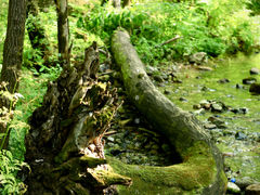 -玉渡山自然风景区