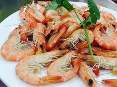 -南海渔家•海鲜•正宗海南菜(海棠湾店)