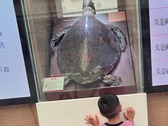 -广州中医药大学第一附属医院(总院)