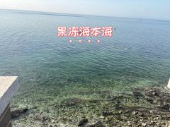 -养马岛旅游度假区