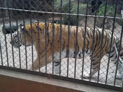 android_upload_pic-昆明动物园