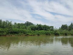 -池杉湖湿地公园