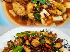 -煲来饱去冷水鱼
