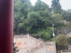 -老一品蹄花店(新津店)