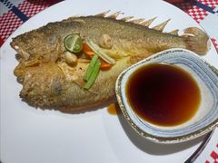 香煎黄花鱼-蚝魁·海鲜大排档·啫啫·生蚝(体育西店)