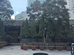 -真庆观